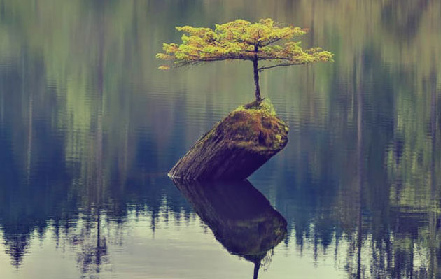 resiliencia - Itxaso Psicología